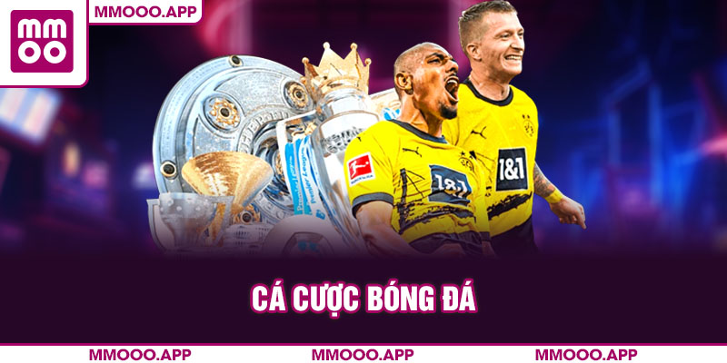 cá cược bóng đá